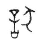 金文写的篆书狺