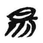 簡帛寫的篆書昜