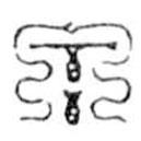 鸟虫篆写的篆书泉