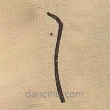 说文广义写的篆书乁