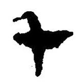 簡(jiǎn)帛寫的篆書(shū)千