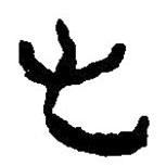 簡帛寫的篆書毛