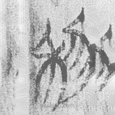 簡帛寫的篆書利