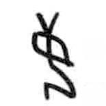 甲骨文写的篆书姜