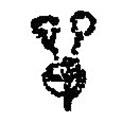 篆刻字典寫(xiě)的篆書(shū)單