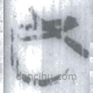 安大简字表写的篆书女