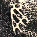 金文书法集萃写的篆书隹