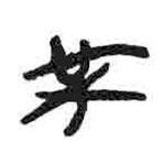 簡帛寫的篆書某