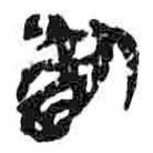 簡帛寫的篆書荊