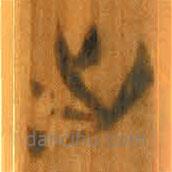 清华简写的篆书出