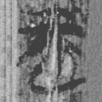 上博简写的篆书而