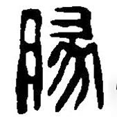 篆刻字典寫的篆書豚