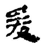 简帛写的篆书爰