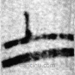 簡(jiǎn)帛寫的篆書士