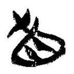 简帛写的篆书直