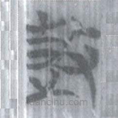 安大简字表写的篆书鼓