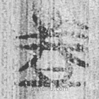 簡(jiǎn)帛寫的篆書者