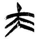 簡(jiǎn)帛寫的篆書夫