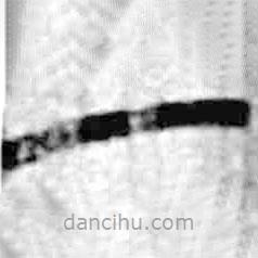 簡帛寫的篆書一