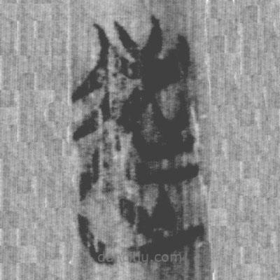 上博簡寫的篆書逃