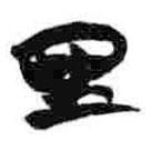 简帛写的篆书里