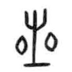 甲骨文写的篆书星