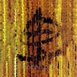 清华简写的篆书思