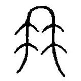 篆刻字典寫的篆書冉