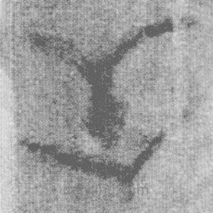 简帛写的篆书内