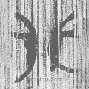 簡帛寫的篆書卝