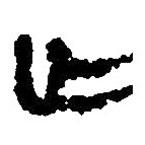 簡(jiǎn)帛寫的篆書亾