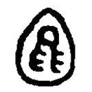 篆刻字典寫的篆書包
