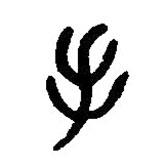 篆刻字典写的篆书手