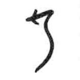 甲骨文写的篆书斤