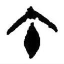 篆刻字典写的篆书午