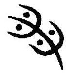 篆刻字典寫的篆書番