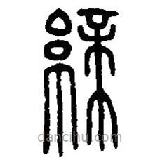 篆刻字典寫(xiě)的篆書(shū)締
