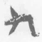 簡(jiǎn)帛寫的篆書九