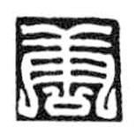 鸟虫篆写的篆书唐