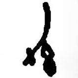 篆刻字典寫的篆書幼