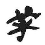 簡(jiǎn)帛寫(xiě)的篆書(shū)某