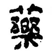 篆刻字典写的篆书药