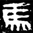 篆刻字典寫的篆書馬
