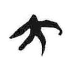 簡(jiǎn)帛寫的篆書大