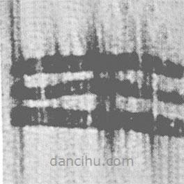 簡(jiǎn)帛寫的篆書三