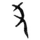 金文寫的篆書尤