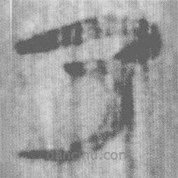 上博简写的篆书乃