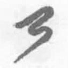 简帛写的篆书乃