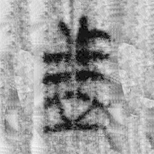 簡(jiǎn)帛寫的篆書者