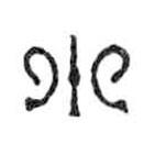 鸟虫篆写的篆书小